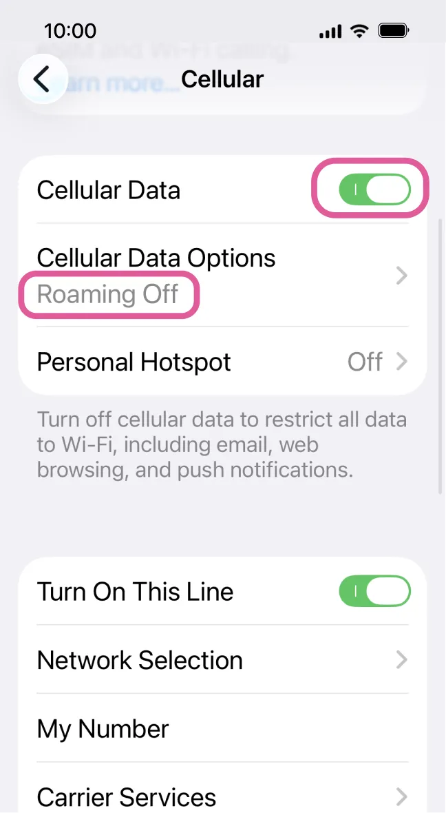Cellular settings with Sakura Mobile APN active, LTE on and data roaming off.