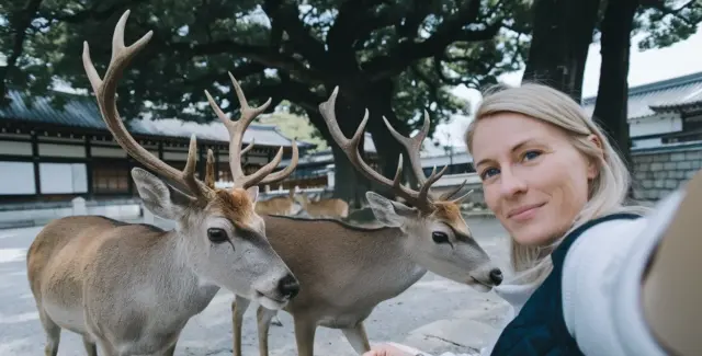 A woman is enjoying taking selfies with the deer in Nara.