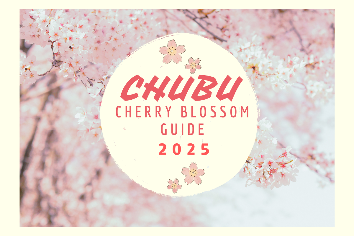 cherry blossom※プロフ確認 cherry blossom※プロフ確認 様 FANTASTICS cherry blossom※プロフ確認