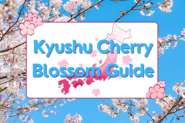 Kyushu Cherry Blossom Guide: Best Spots for Viewing Sakura this Spring!