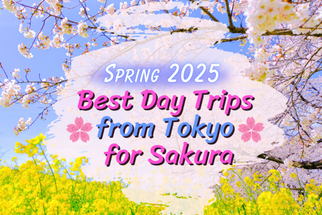 2025 Cherry Blossom Guide: Best Day Trips from Tokyo for Sakura