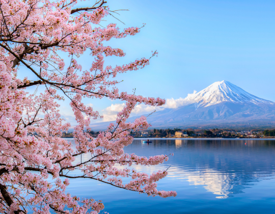 lake kawaguchiko