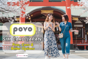Two women using smartphones at Japanese shrine wtih cherry blossoms.