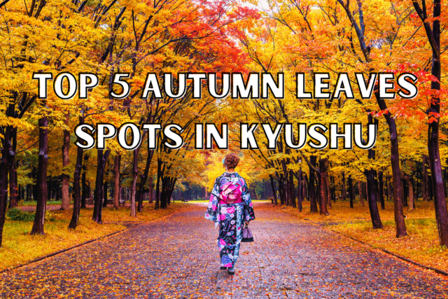 Top 5 Autumn Leaves Spots in Kyushu