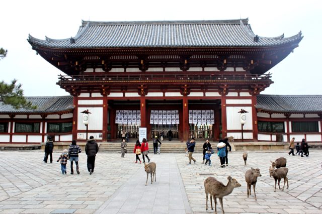 8 Things to Do in Nara: Exploring the Sites of Ancient Japan