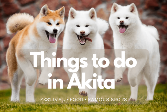 Things to do in Akita: Festivals, Food, and Famous Spots